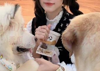 在51.com，今天的消费主张：看瓜，收藏，舒适一整天！