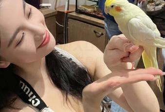 吃瓜网的入口怎么那么神秘？网页设计师是不是喝多了？！