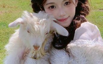 快来下载黑料166su，传送门里全是不可思议的秘密等你发掘！