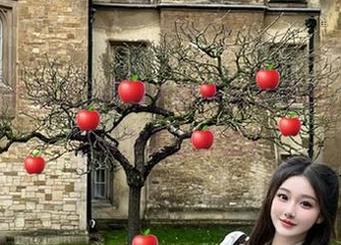 网站上的黑料老司机，真想问问他怎么想的！